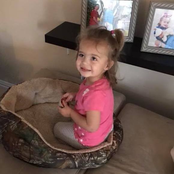 Meet your Posher, Kevin - Picture 1 of 1